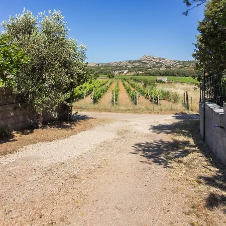 Appartement Guesthost - Lovely And Comfy By The Vineyard *
